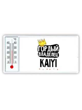 Гордый владелец Kaiyi