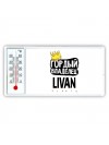 Гордый владелец Livan