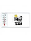 Гордый владелец Tesla