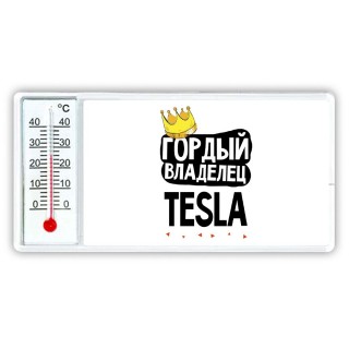 Гордый владелец Tesla