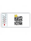 Гордый владелец Voyah