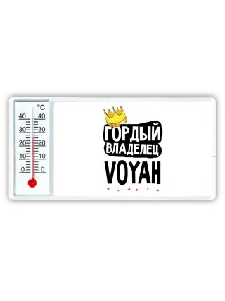 Гордый владелец Voyah