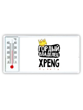 Гордый владелец Xpeng