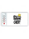 Счастливая владелица Chery