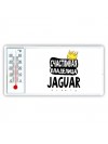 Счастливая владелица Jaguar