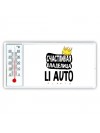 Счастливая владелица Li Auto