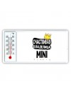 Счастливая владелица Mini