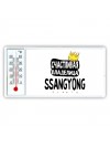 Счастливая владелица Ssangyong