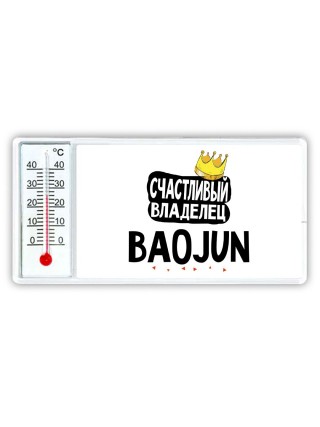 Счастливый владелец Baojun