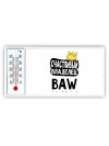 Счастливый владелец BAW