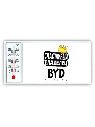 Счастливый владелец BYD