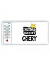 Счастливый владелец Chery