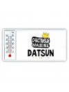 Счастливый владелец Datsun