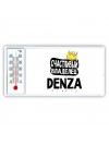 Счастливый владелец Denza