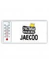 Счастливый владелец Jaecoo