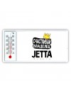 Счастливый владелец Jetta