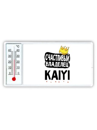 Счастливый владелец Kaiyi