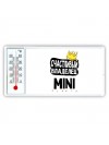 Счастливый владелец Mini