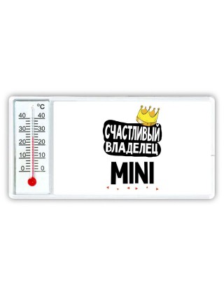 Счастливый владелец Mini