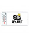 Счастливый владелец Renault