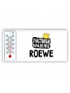 Счастливый владелец Roewe