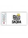 Счастливый владелец Skoda