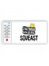 Счастливый владелец Soueast