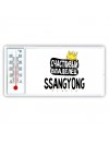 Счастливый владелец Ssangyong