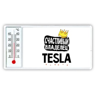 Счастливый владелец Tesla