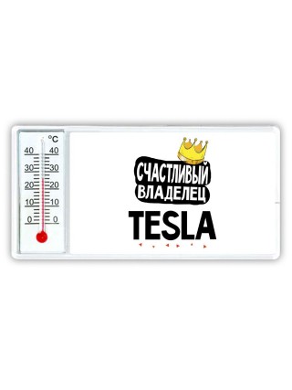 Счастливый владелец Tesla