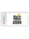 Счастливый владелец Zeekr