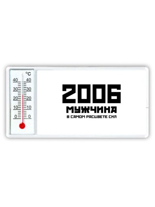 2006 мужчина в самом расцвете сил