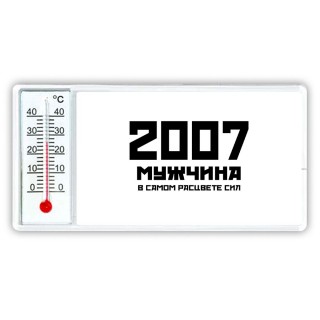 2007 мужчина в самом расцвете сил