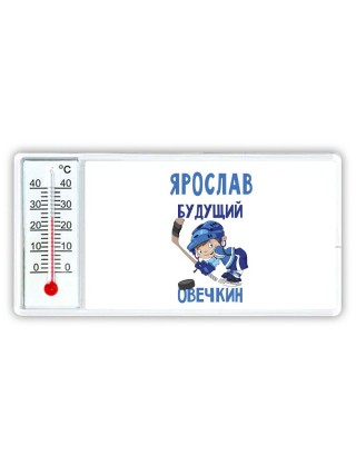 Ярослав будущий овечкин