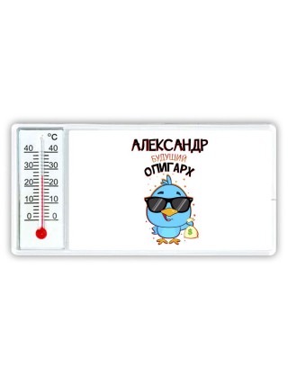 Александр будущий олигарх