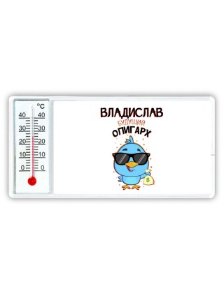 Владислав будущий олигарх
