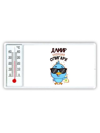 Дамир будущий олигарх
