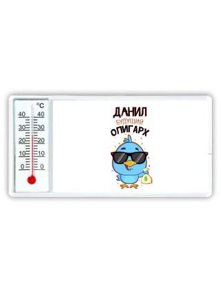 Данил будущий олигарх