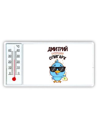 Дмитрий будущий олигарх