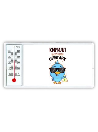 Кирилл будущий олигарх