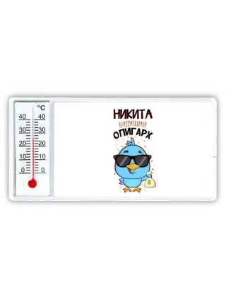 Никита будущий олигарх