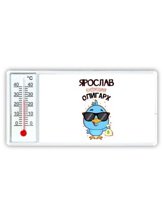 Ярослав будущий олигарх