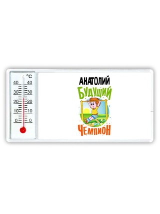Анатолий будущий чемпион