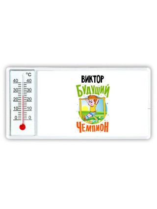 Виктор будущий чемпион