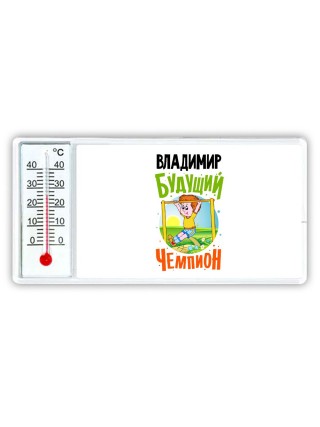 Владимир будущий чемпион