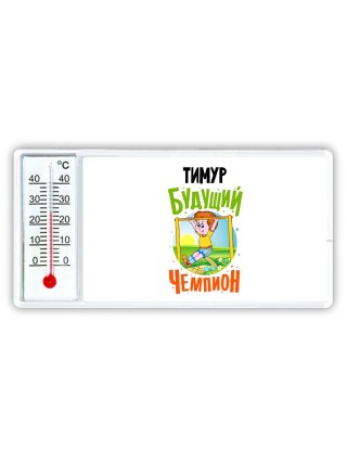 Тимур будущий чемпион