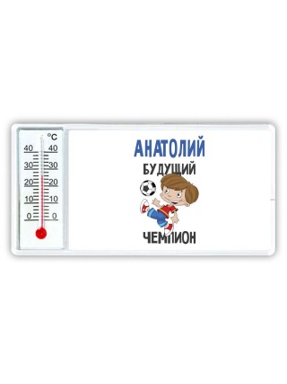 Анатолий будущий чемпион