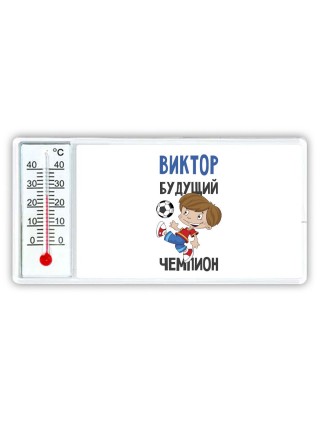 Виктор будущий чемпион