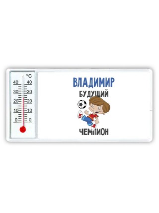 Владимир будущий чемпион