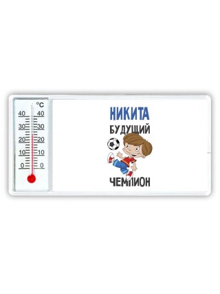 Никита будущий чемпион